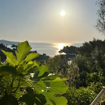 Limonaia In Salento * Marittima