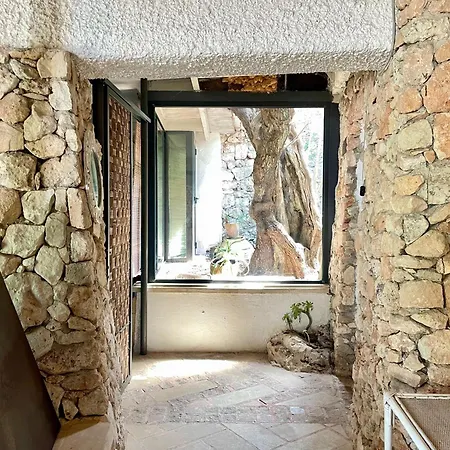 Limonaia In Salento *