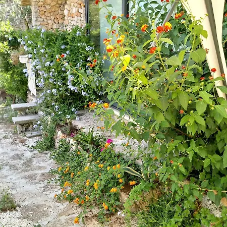 Limonaia In Salento *