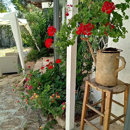 Limonaia In Salento Holiday home Marittima