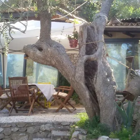 Limonaia In Salento Holiday home *